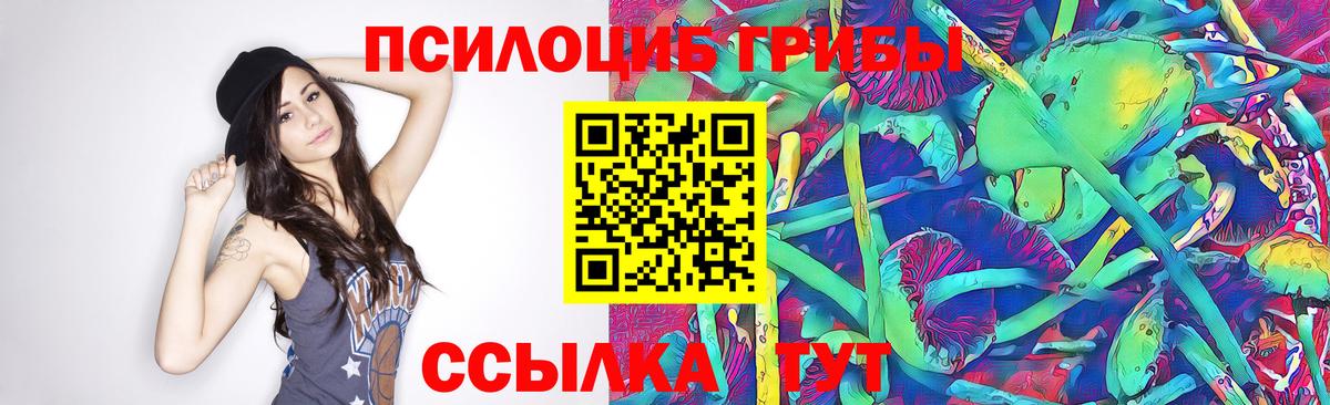 Псилоцибиновые грибы мухоморы Моршанск